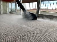 Pros Carpet Cleaning Sydney image 4
